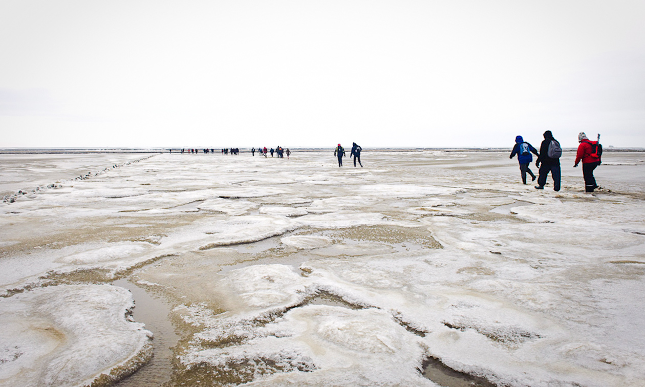 Wadlopen Pieterburen, Winterwadlopen (à 2,5 uur) + koffie/thee + gebak  bespaar 38% in Drenthe via Social Deal