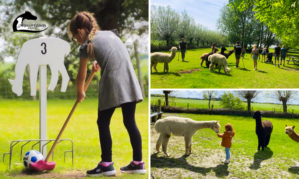 Alpaca & Falabella Ranch
