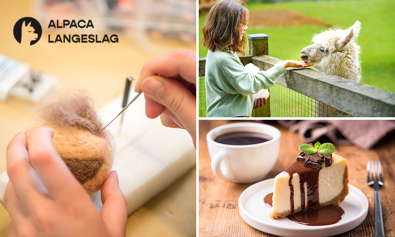Alpaca Langeslag