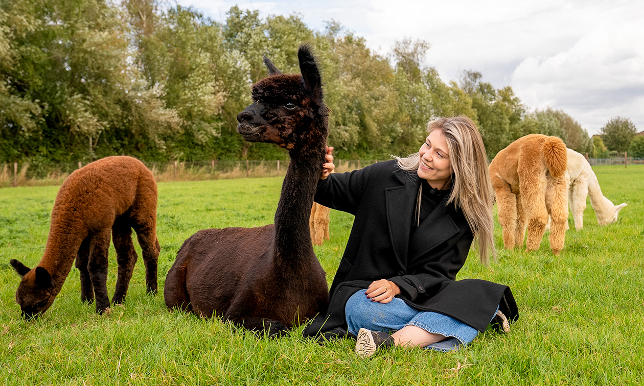 Alpacafarm In de Puthof
