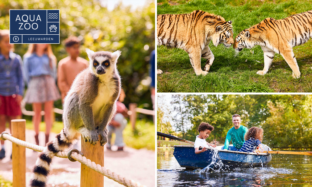 Luxus Aquazoo Dsseldorf Ffnungszeiten Ebenbild