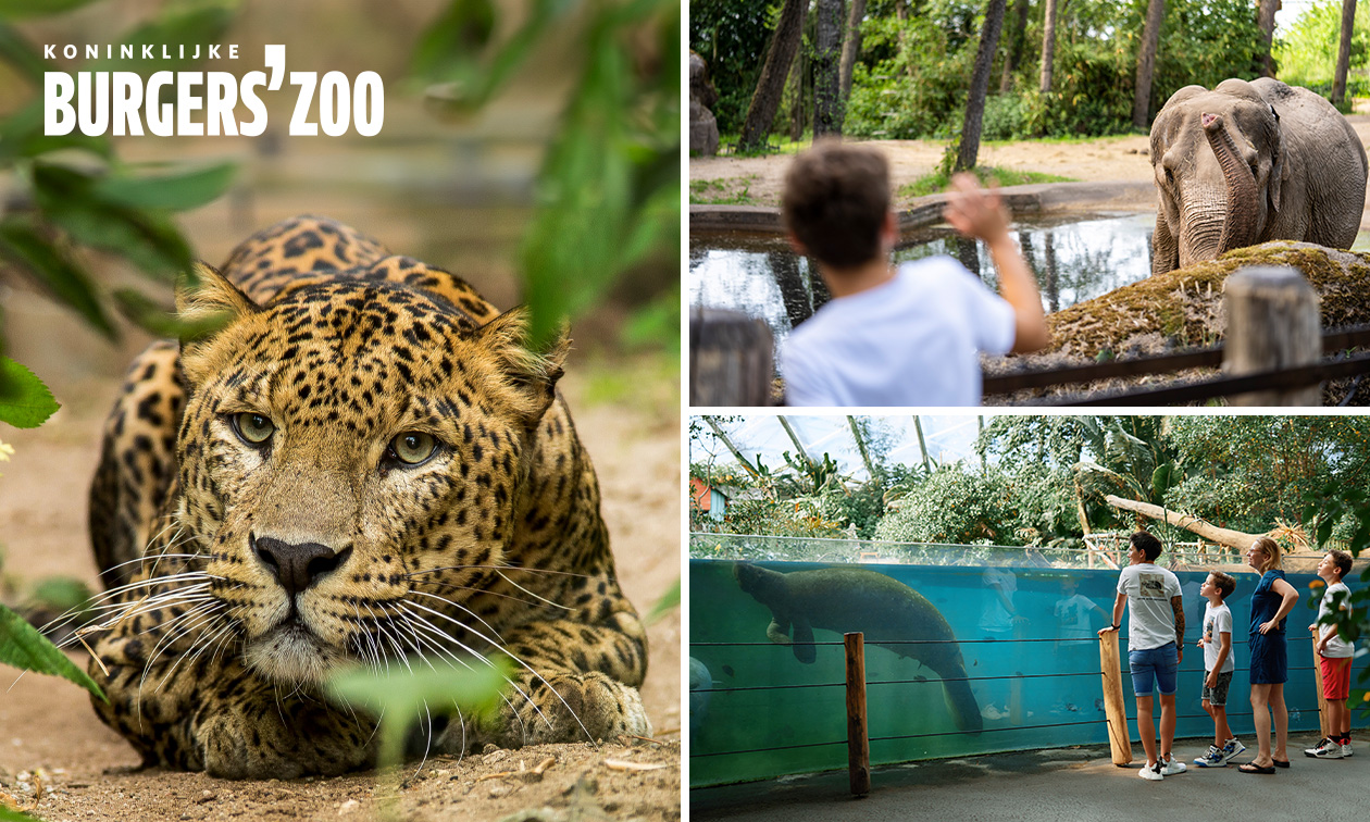 Burgers' Zoo, Entrée pour le Burgers' Zoo bespaar 18 in France via