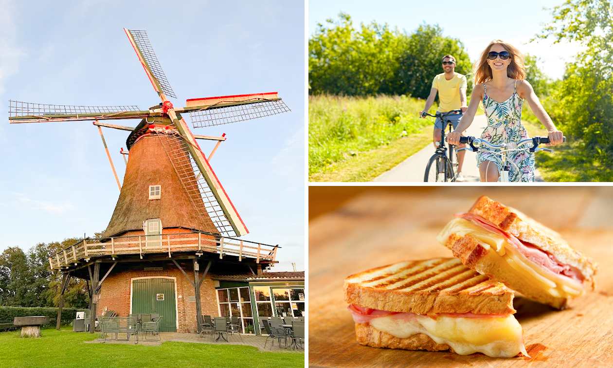 De Zwiepse Molen