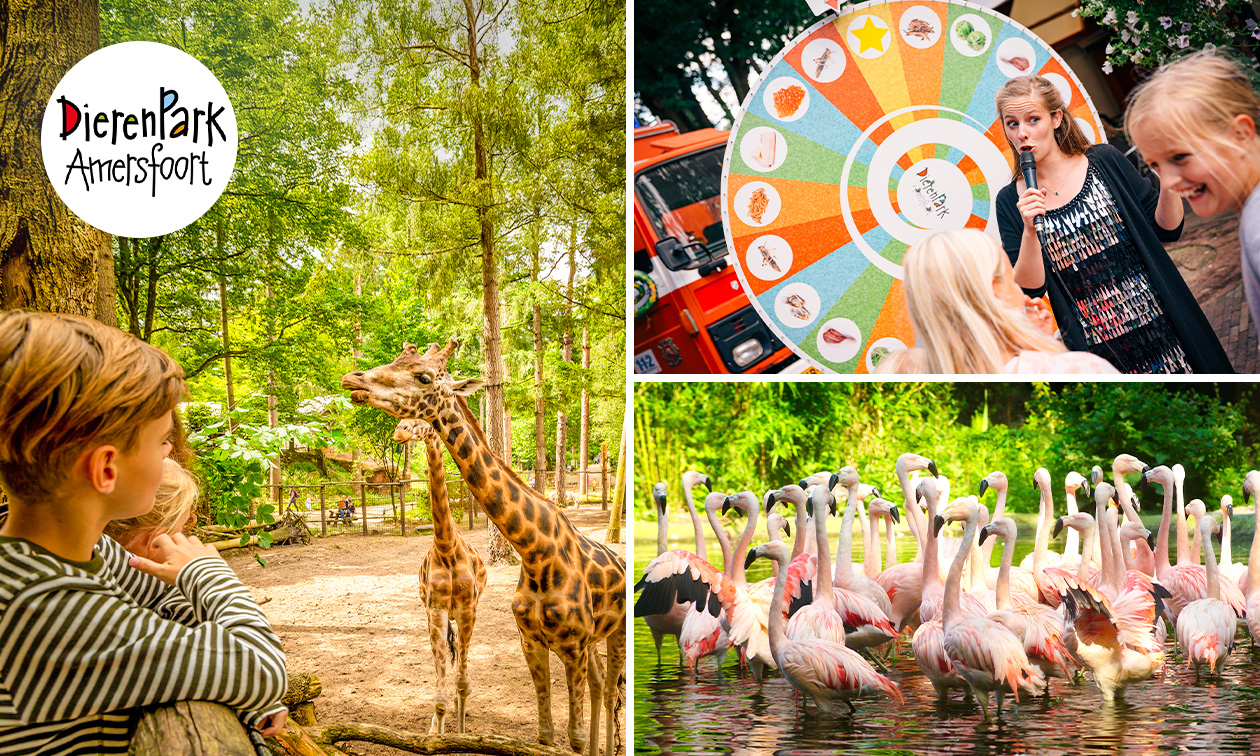 DierenPark Amersfoort