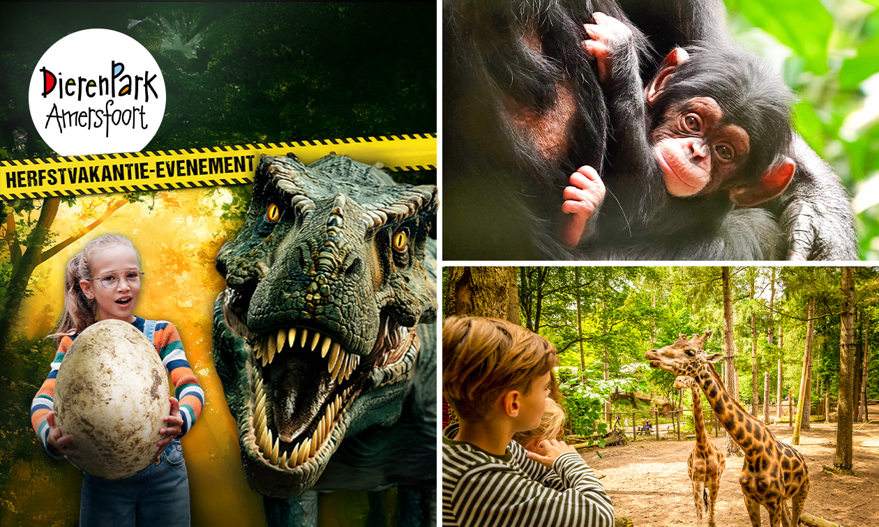 DierenPark Amersfoort