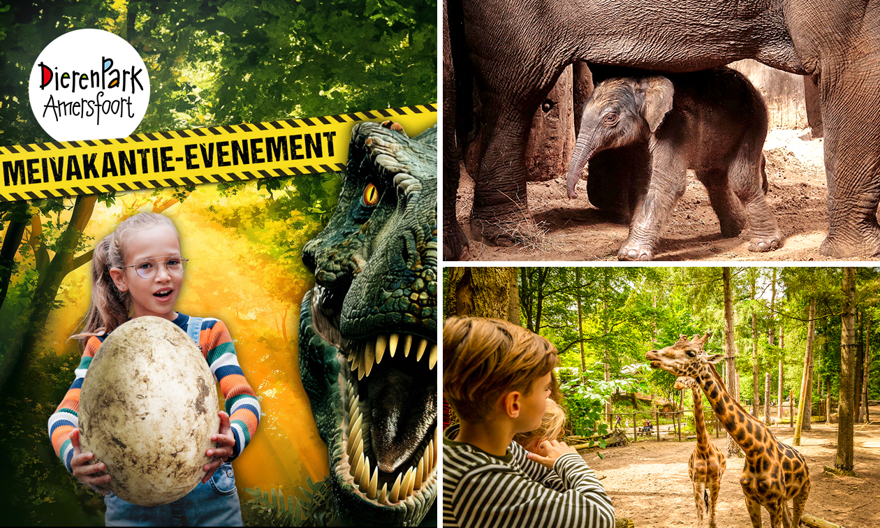DierenPark Amersfoort