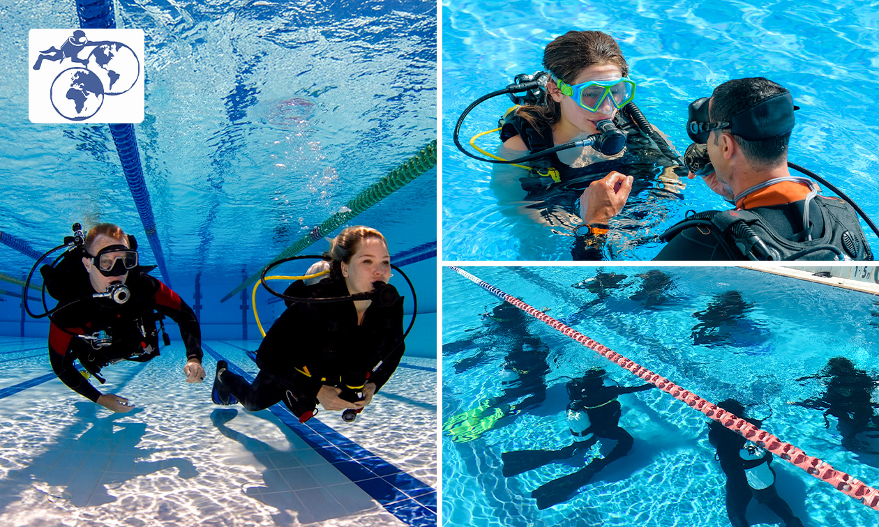 Duikclub de Oost Nederlandse Duikers