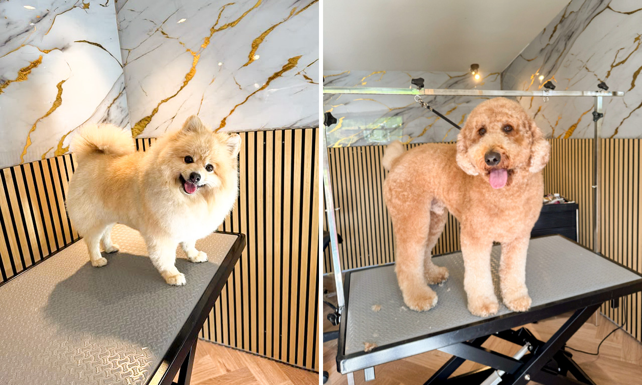 Hondentrimsalon Beautykees