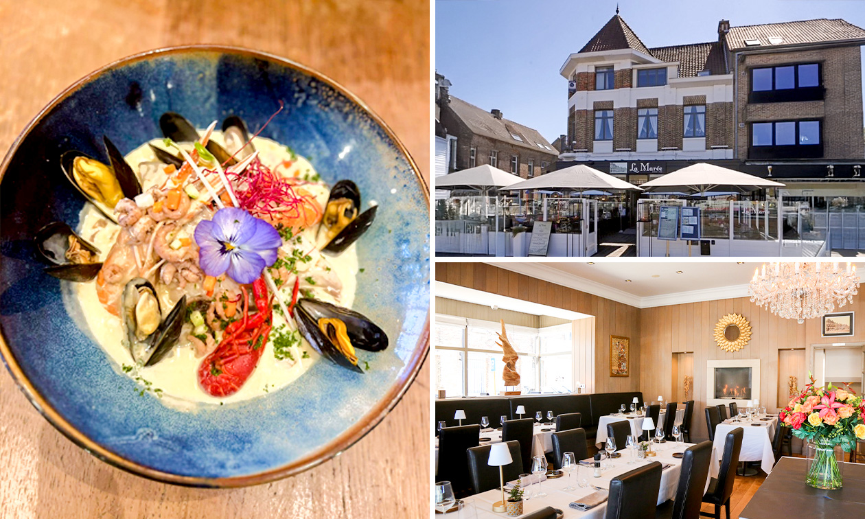 3-gangen keuzelunch of -diner