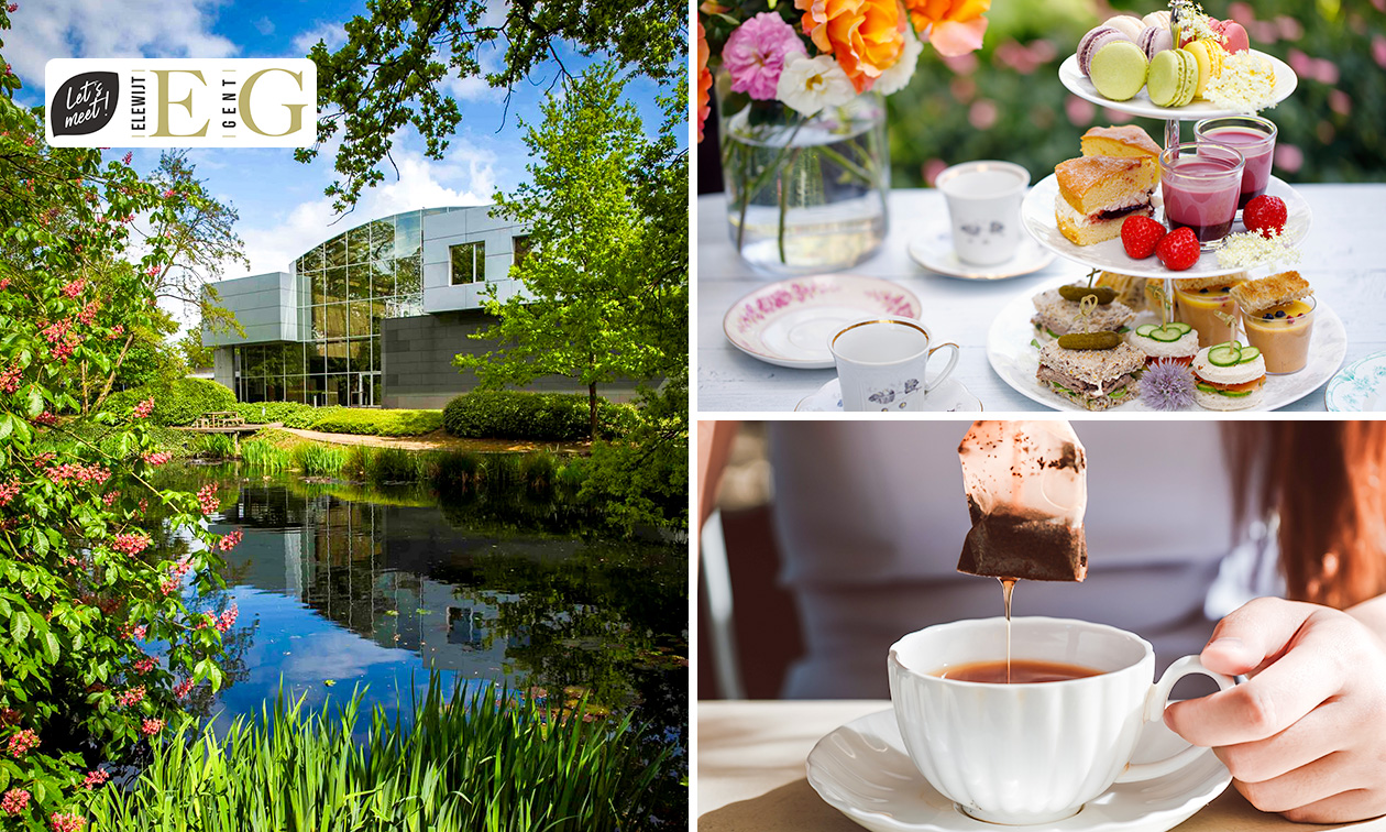 High tea naar keuze bij Let's Meet Gent