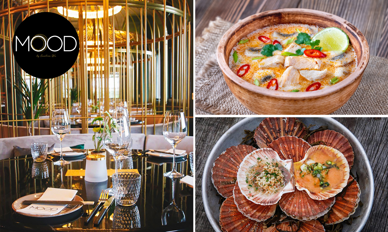 Mood Rotterdam Photos and Reviews by Rotterdam Balloon Company