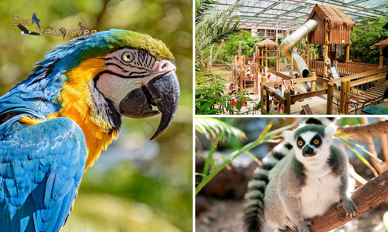 Papegaaienpark Zoo Veldhoven