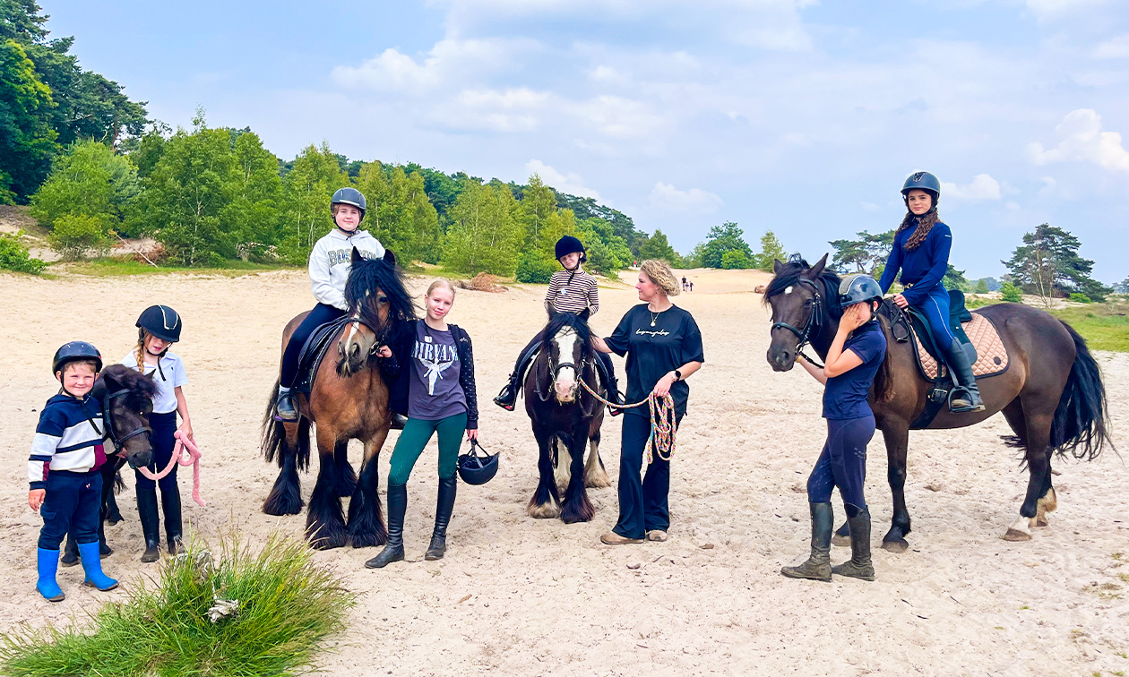 Pony's avonturen stal