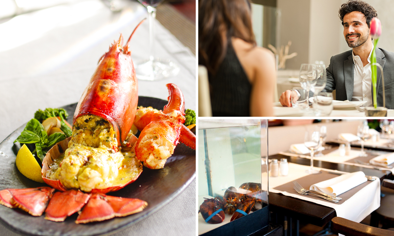 4-gangenlunch of -diner met kreeft bij Restaurant Aquarius