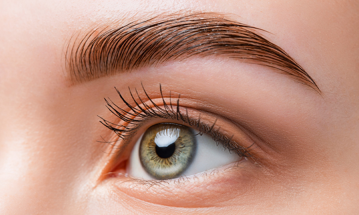 The Brow Spot