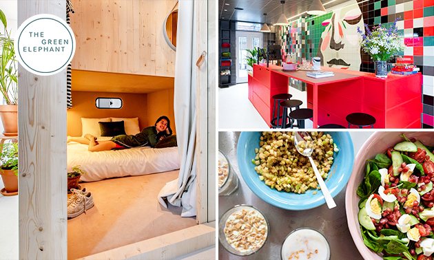 The Green Elephant Hostel & Spa