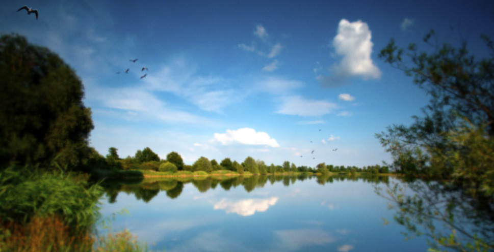 Fietsen met korting | Social Deal