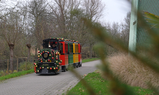 Plaswijckpark Rotterdam